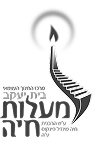 לוגו (1) 1